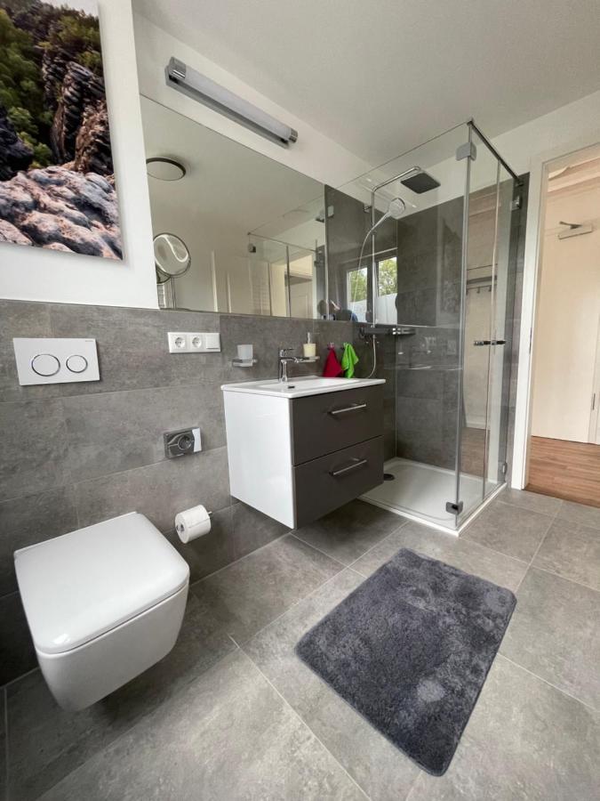 Neues Ferienhaus Kurort Gohrisch Exteriör bild